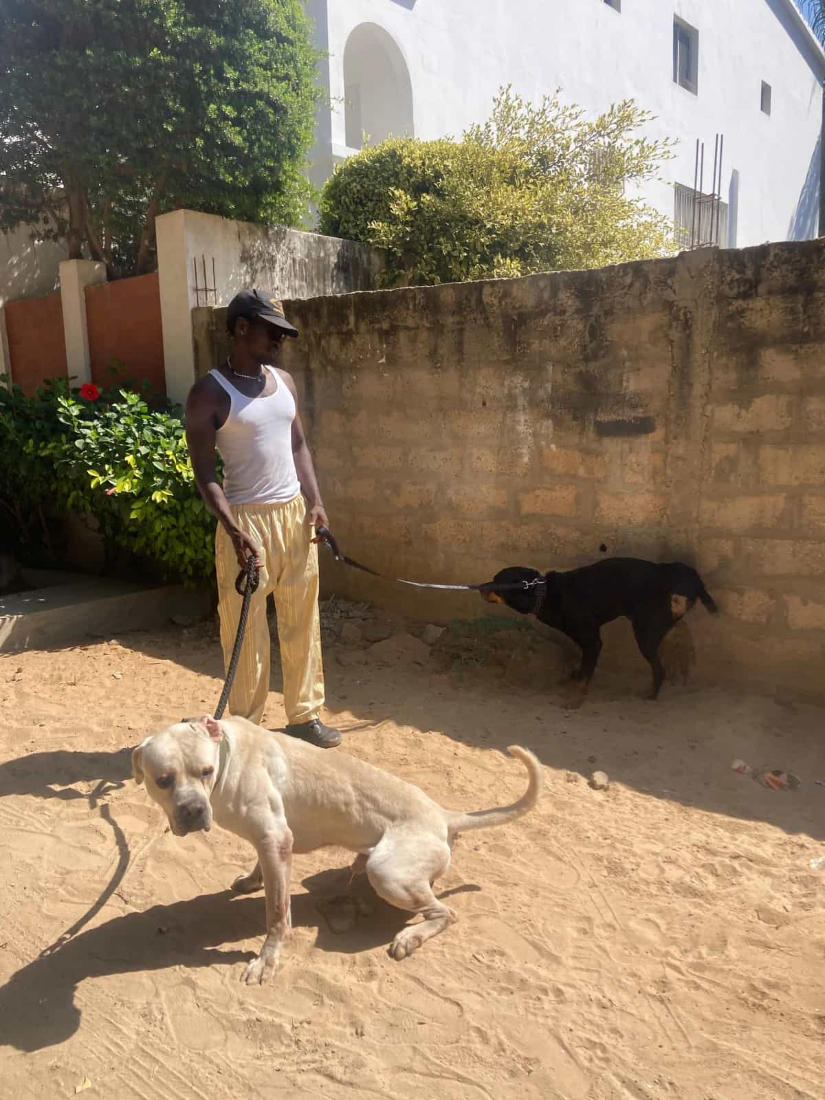 DOUSMAN Radio invites Likkle Vespa