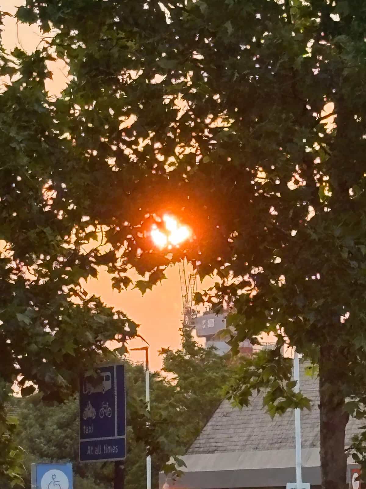 Happy Survival invites commit and culturalwerker