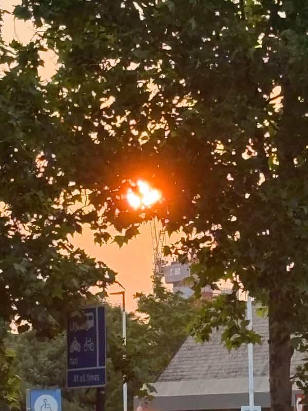 Happy Survival invites commit and culturalwerker