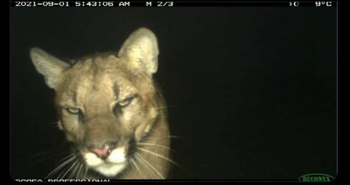 Heard Radio invites AIDEL