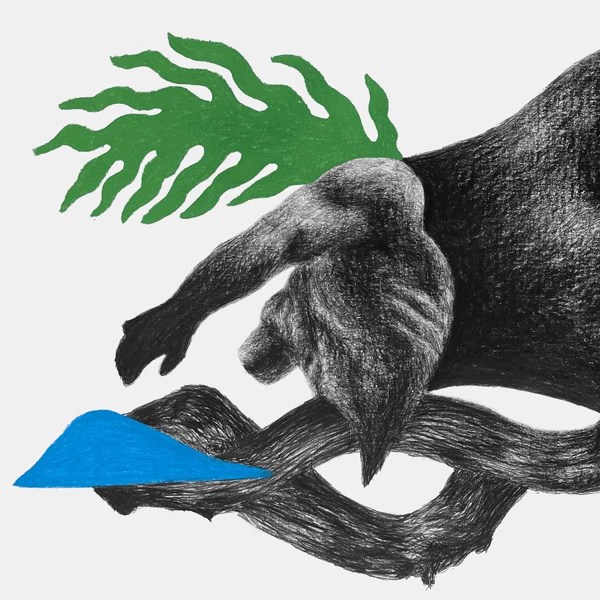 Dream The Spirit Free