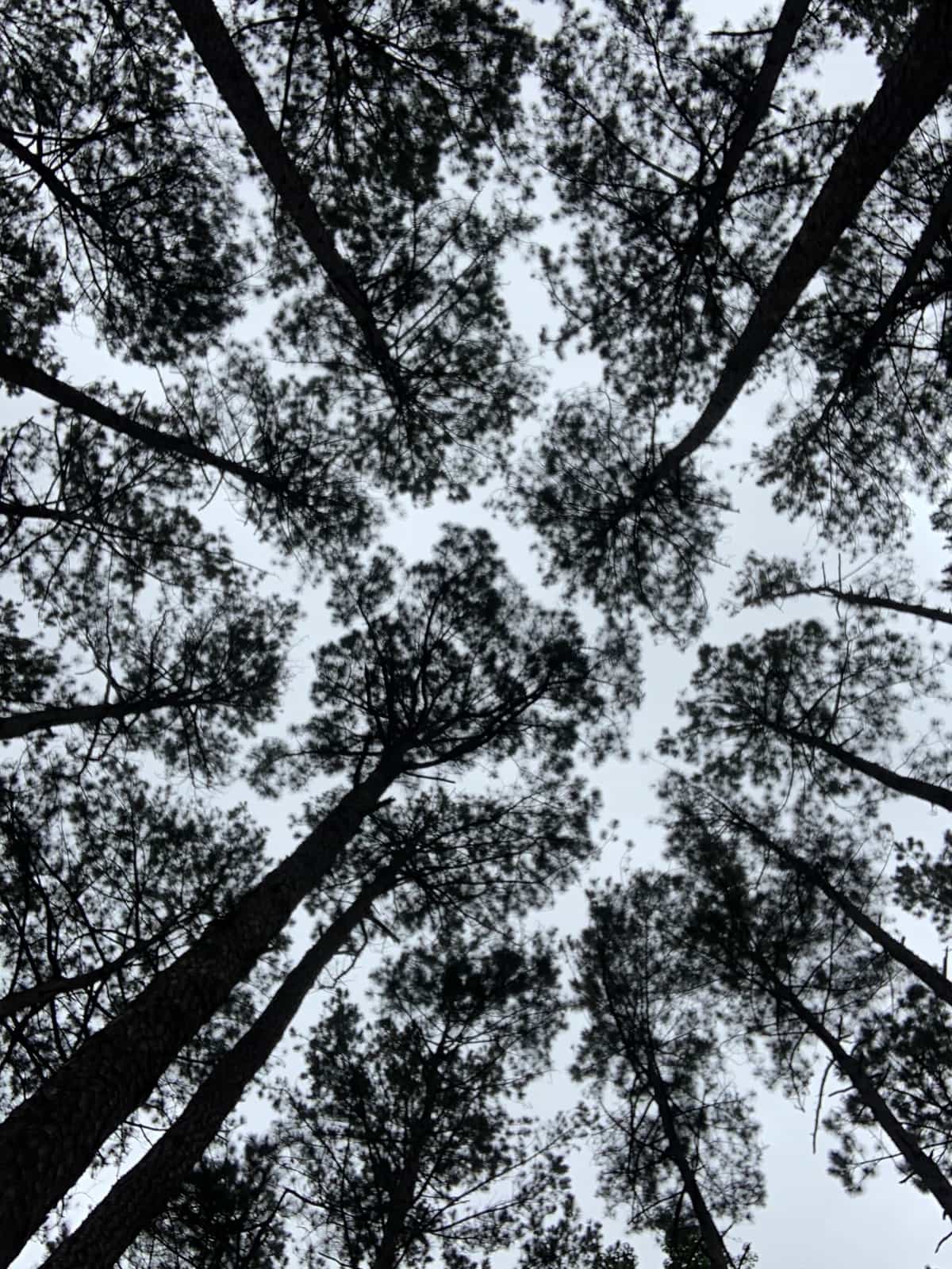 Diggin' In: Ahnansi & Friends