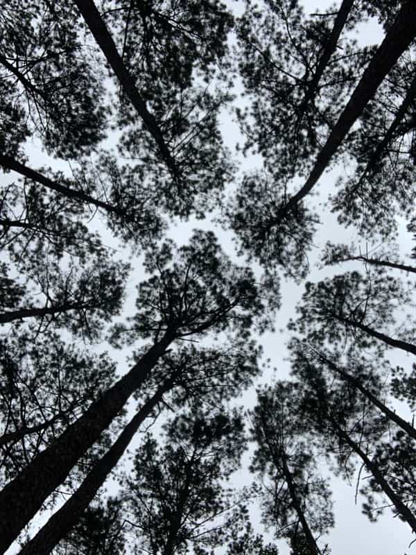 Diggin' In: Ahnansi & Friends