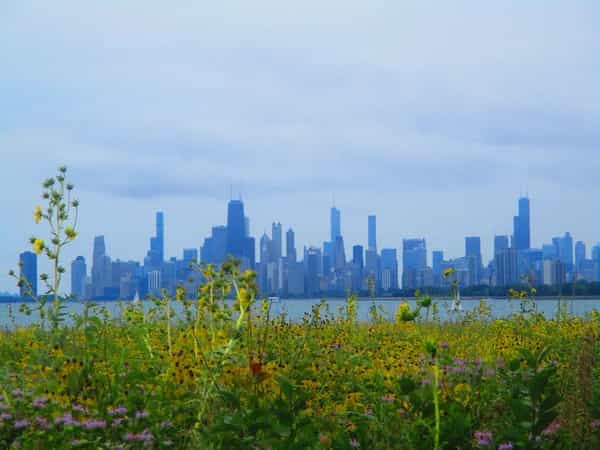 Fàájì Lawa invites Julian Green