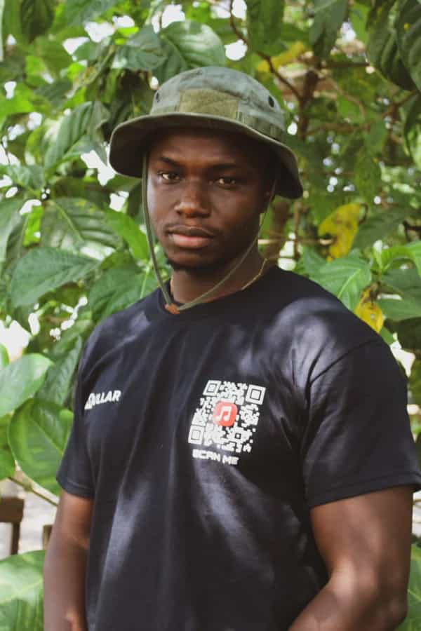 Maxwell's Sound Diaries