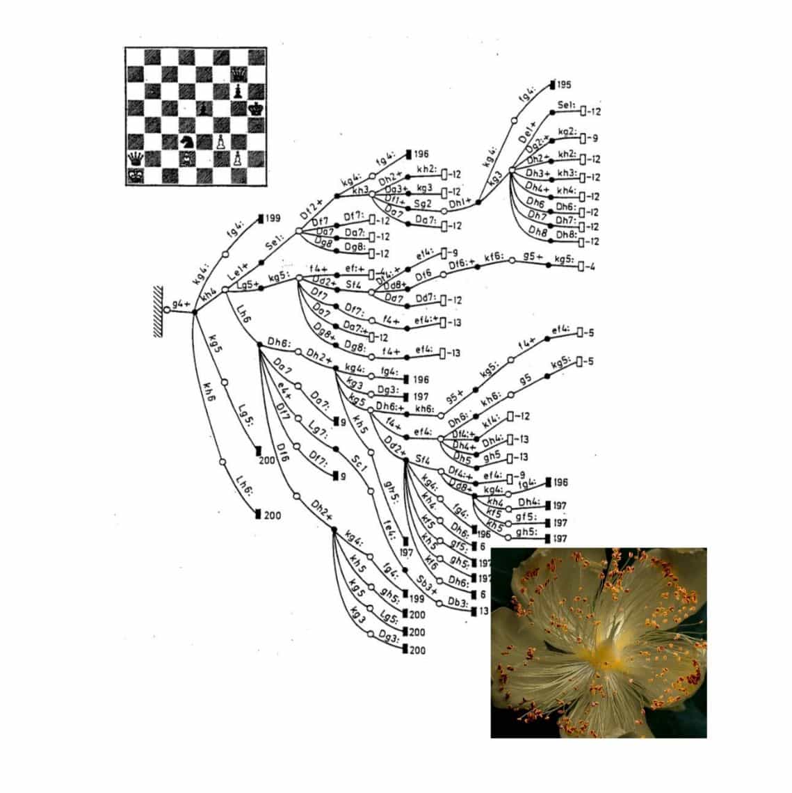 NIA Records: A rose blooms in chaos 
