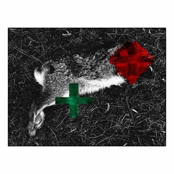 Oroko Radio: LOCAL PASSPORT