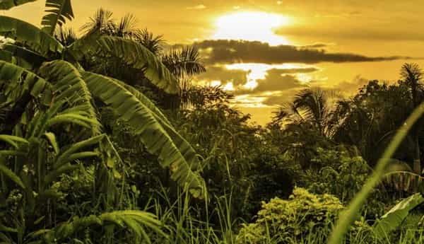 Dousman Radio: TVRBO