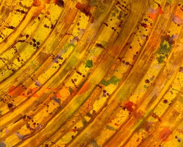 Oroko Radio: LOCAL PASSPORT