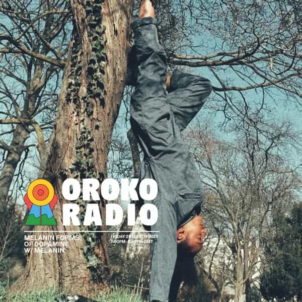 Melanin Forms of Dopamine