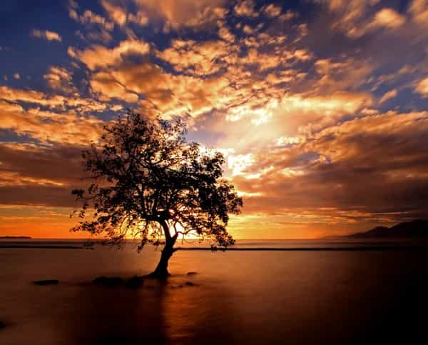 Nsuo Ba (Water Baby)