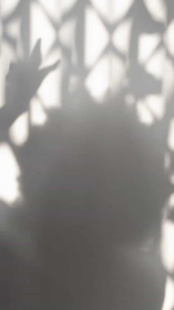 Musings, Music, Questions and Tea