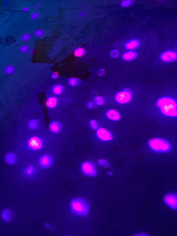 The Library Sessions invites Muud Swingz & KQtheArtist 