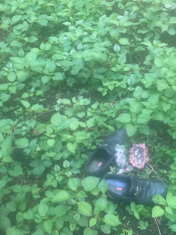 The Echochamber invites Alec Mateo