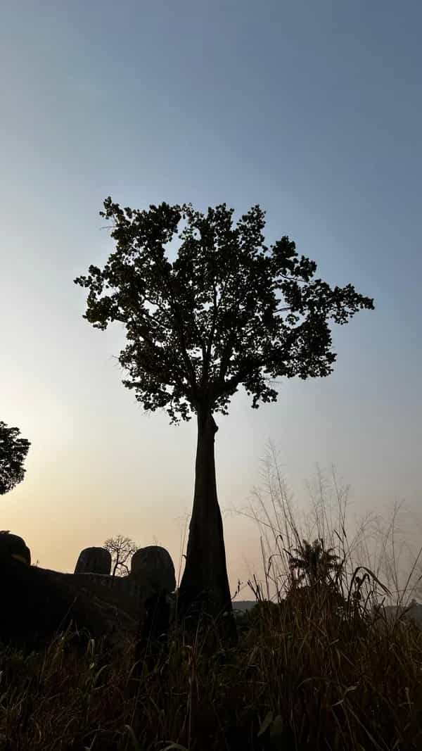 Sound Without Borders