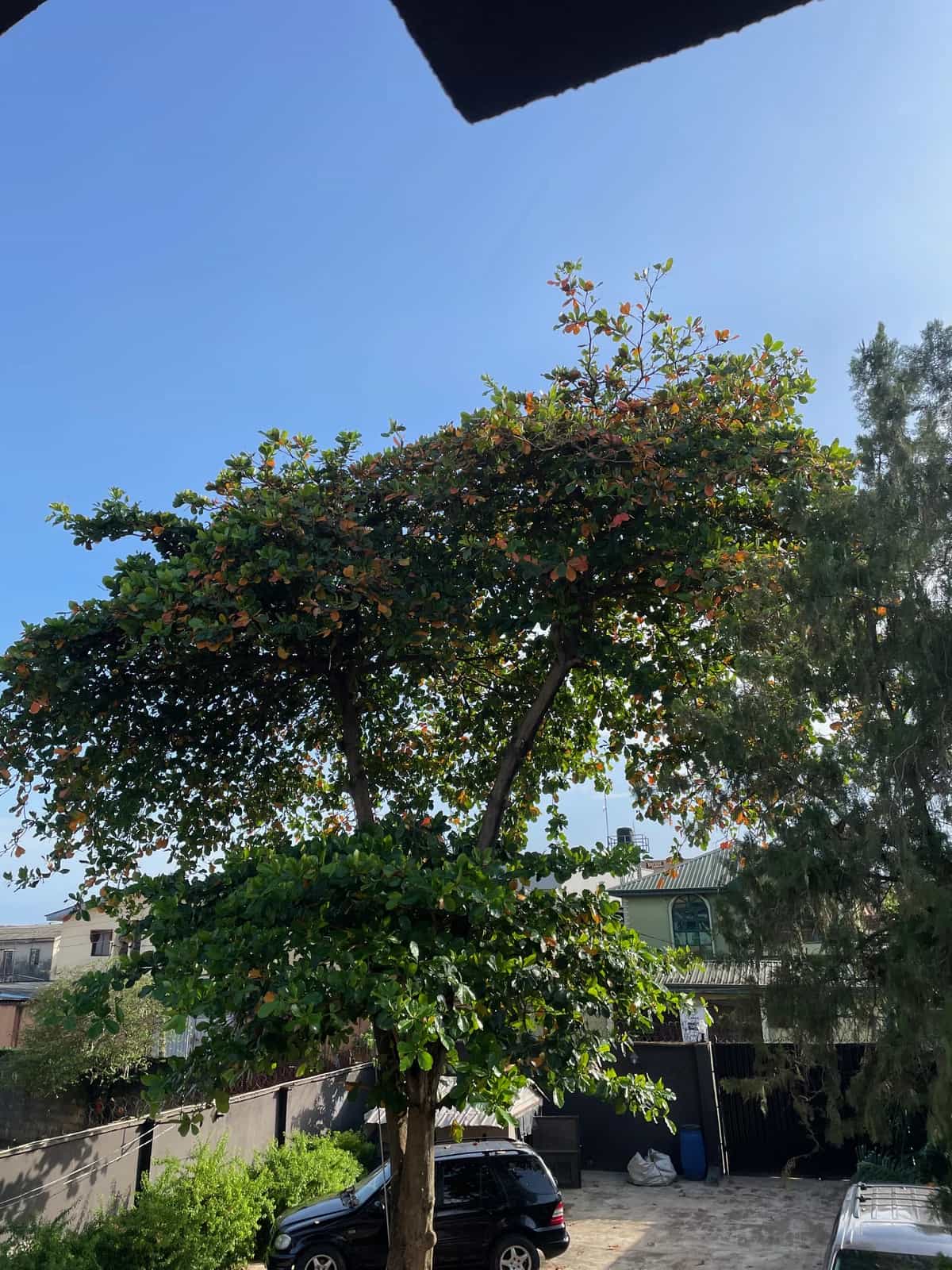 Guest Mix: Happy Survival