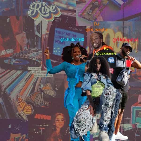 HAVEN: Navigating Music Minds