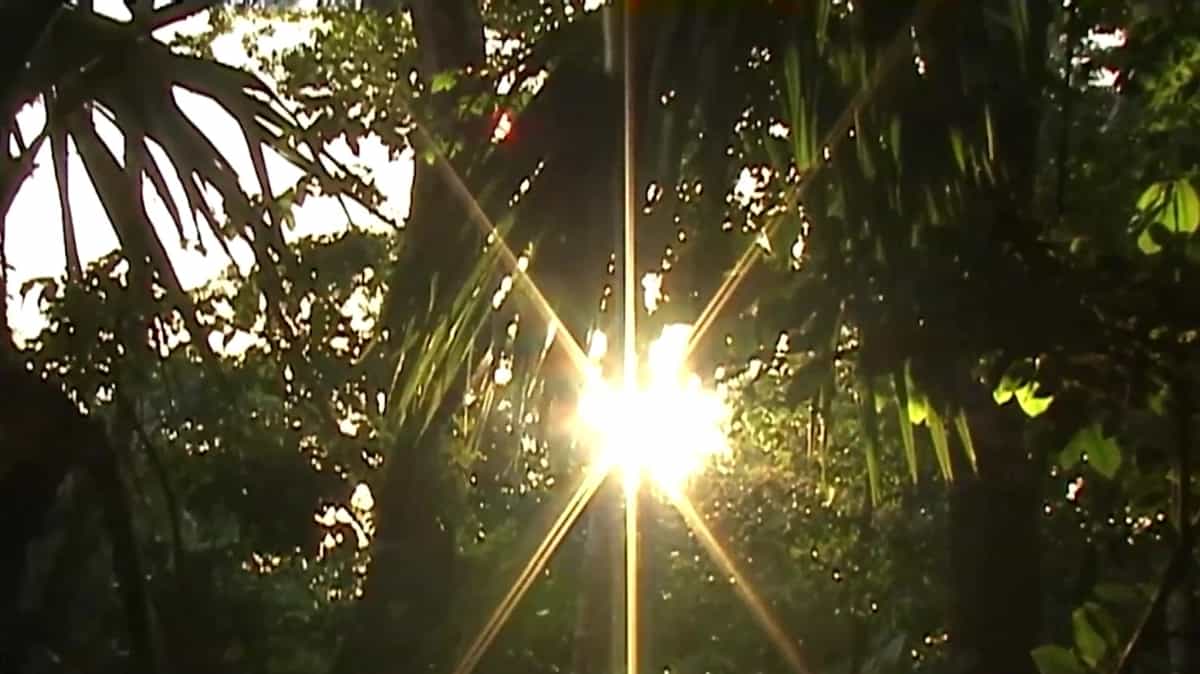 Heard Radio invites ALLNATUREL