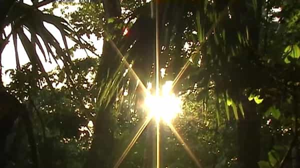 Heard Radio invites ALLNATUREL