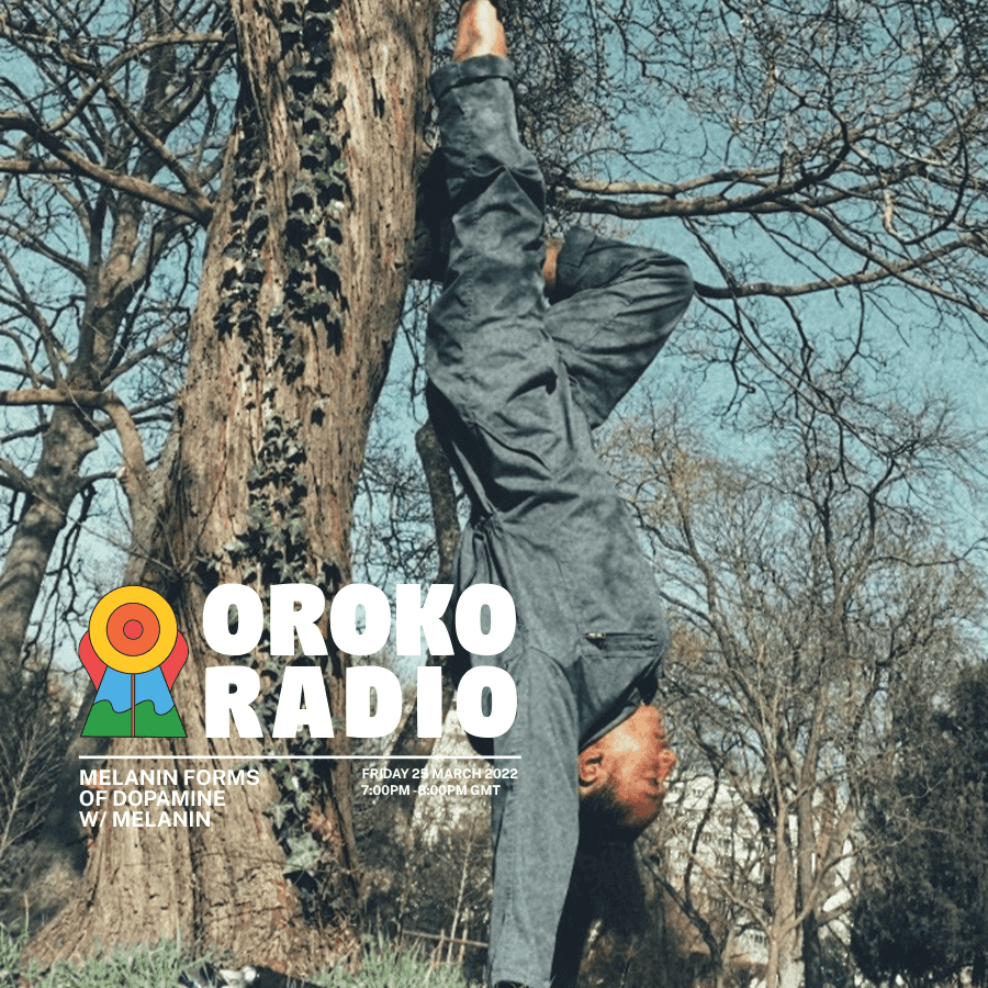 Melanin Forms of Dopamine