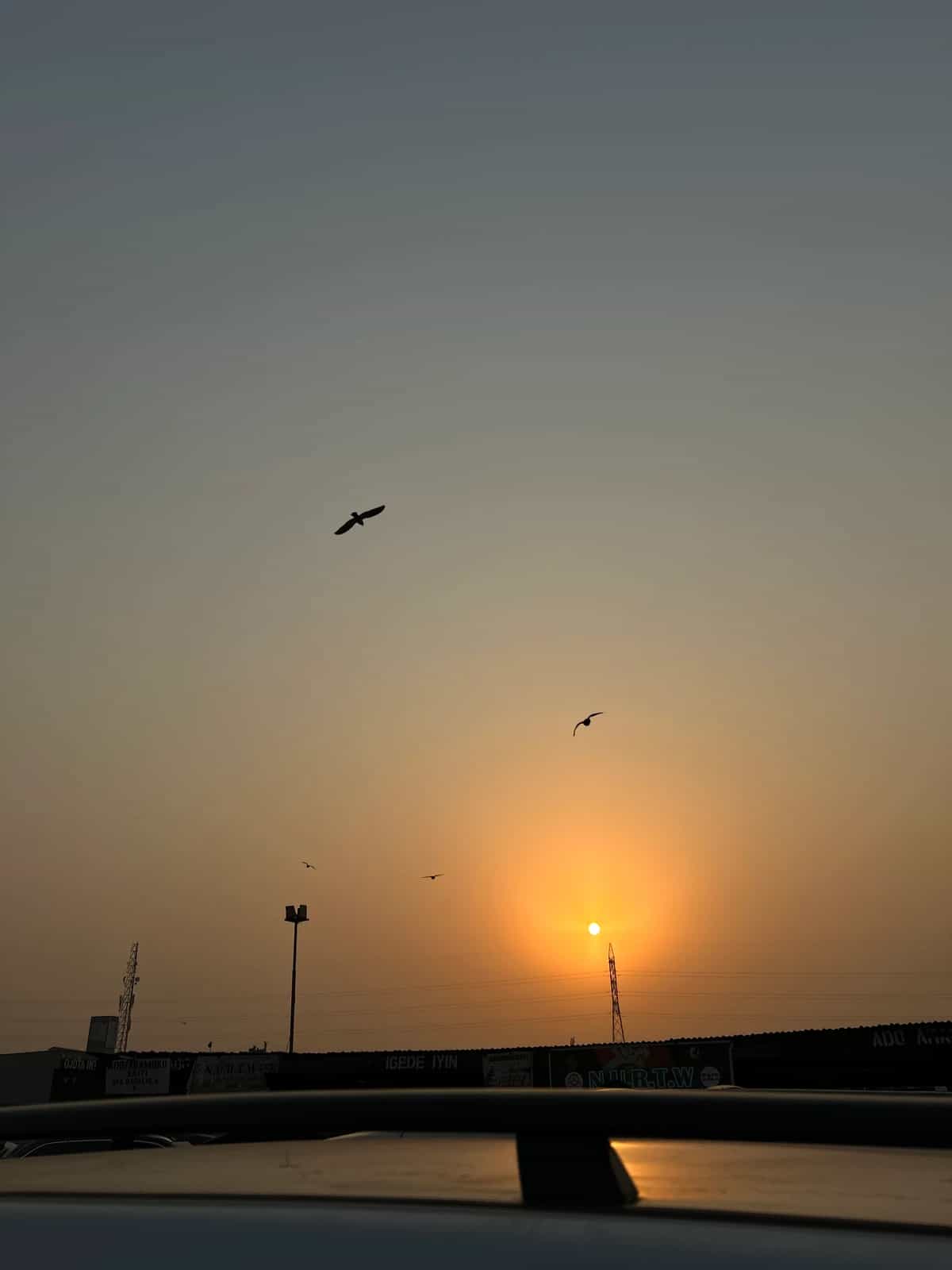 Sound Without Borders