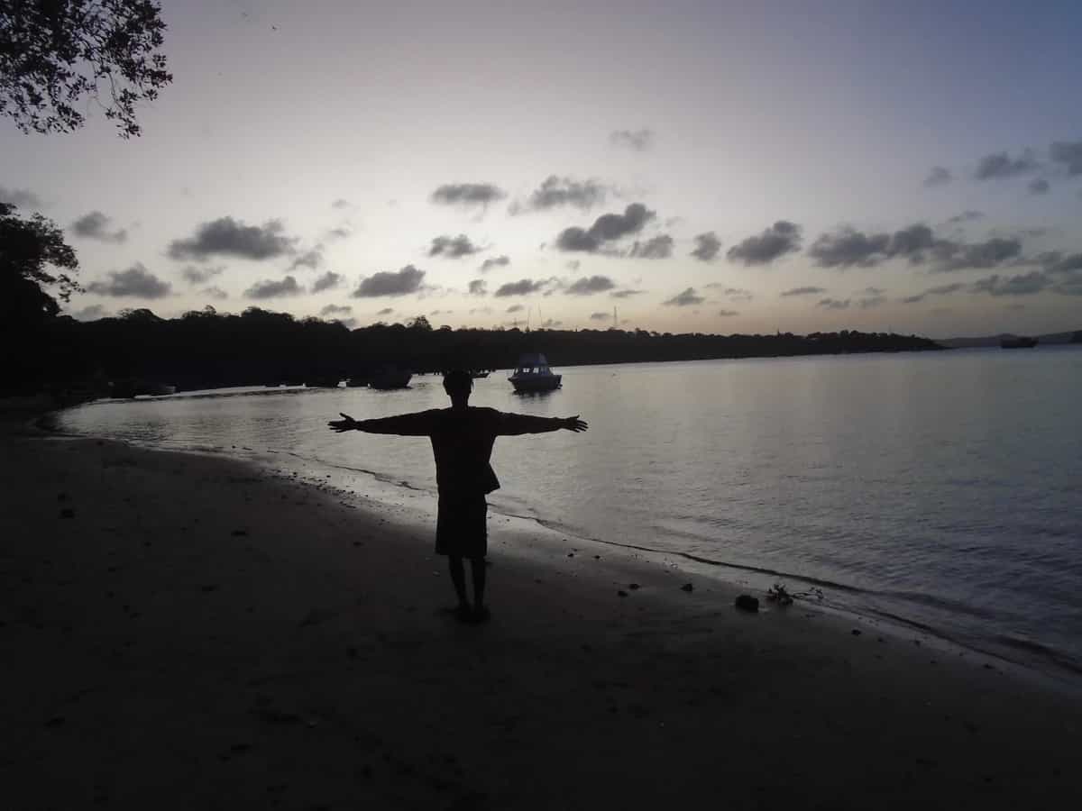 The Hi8us Experiment