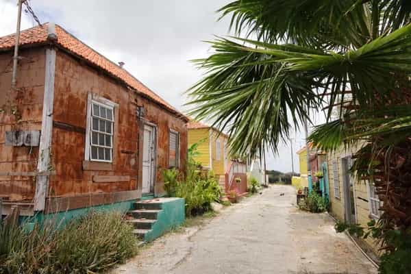 OGRI METI invites audt98