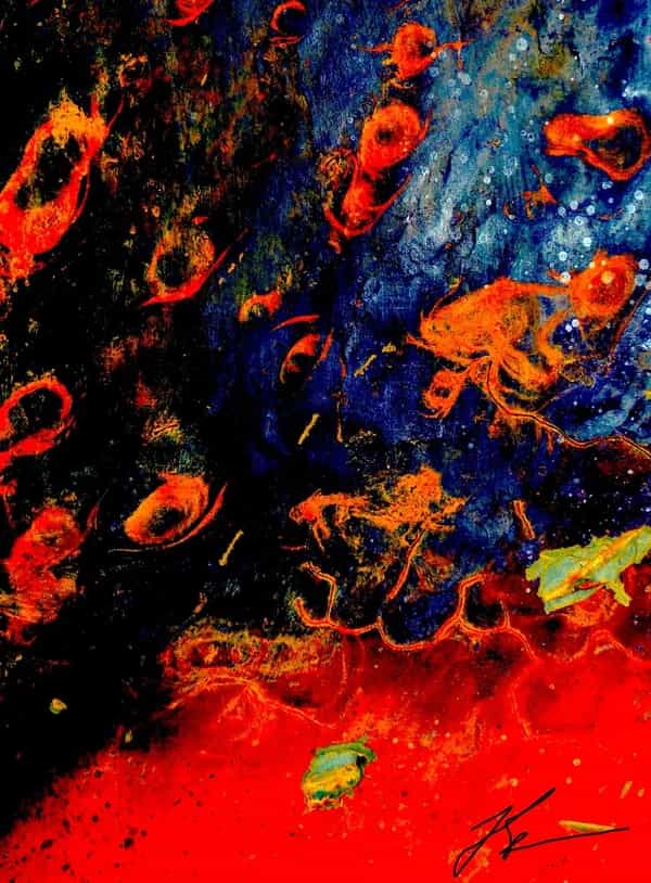 Mutfak invites Fazil Moradi