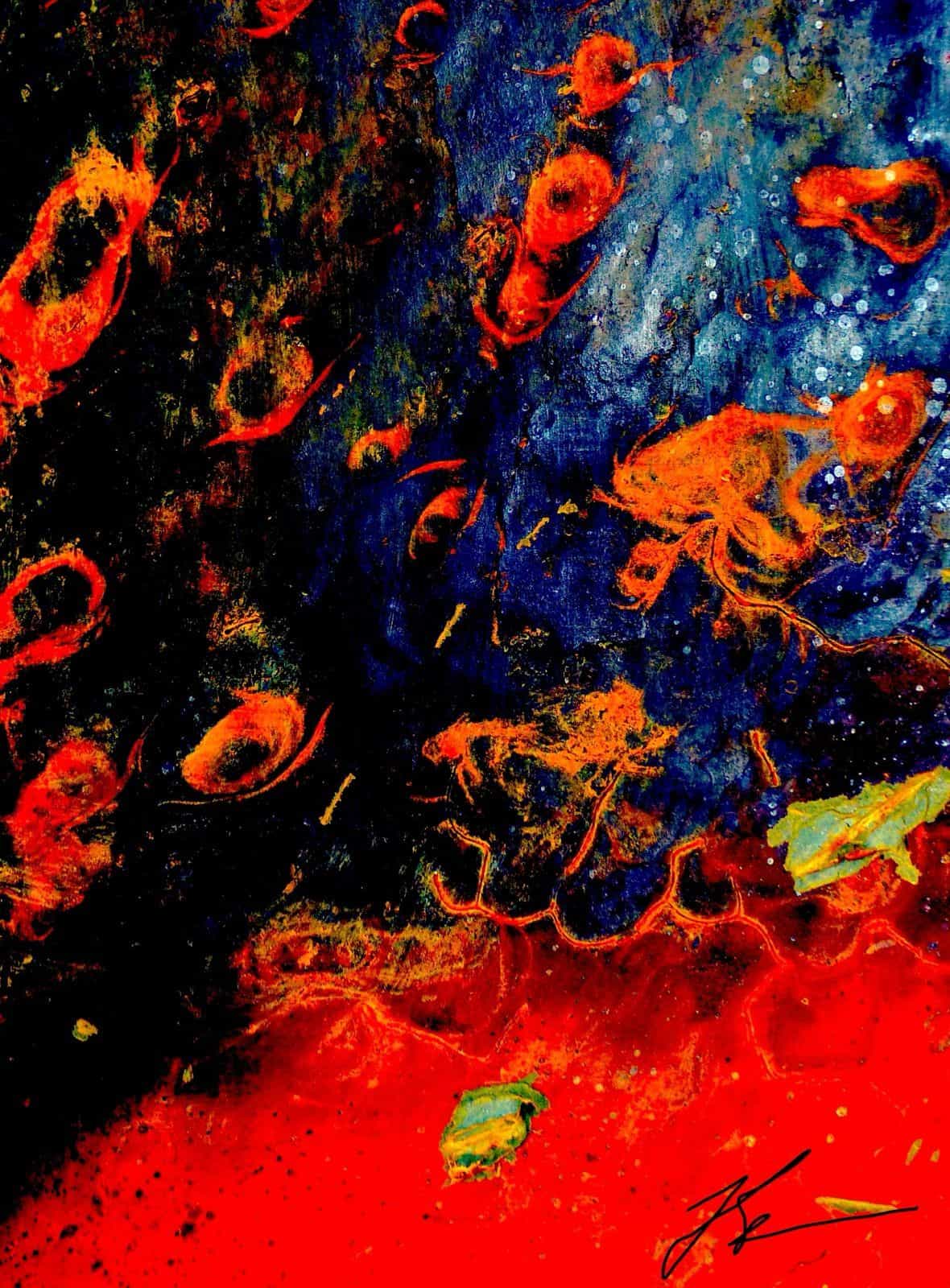 Mutfak invites Fazil Moradi